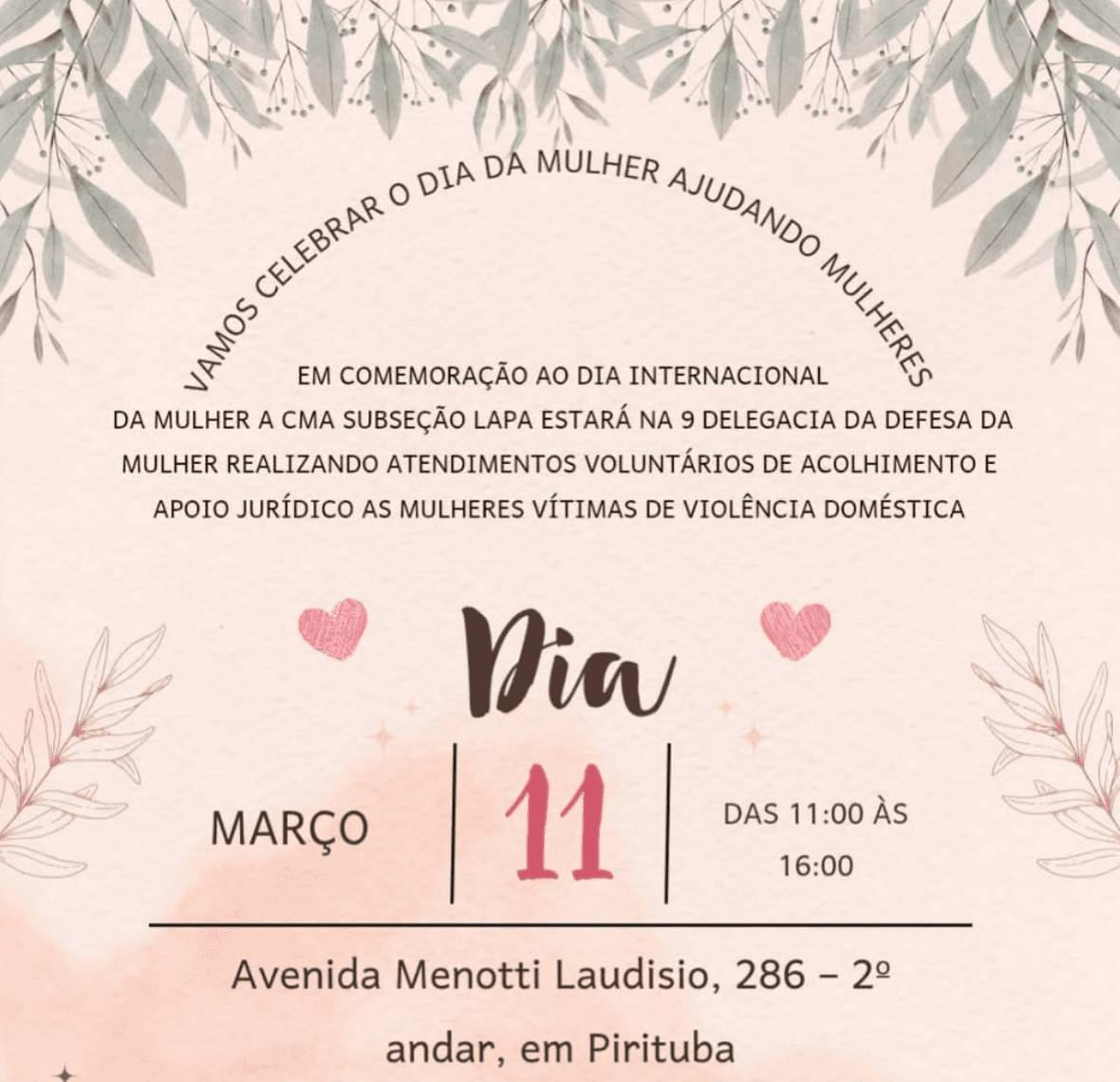 Atendimento Voluntário 9 DDM